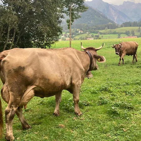 Eistaenzer Nest Apartman