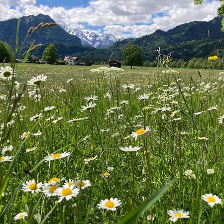 Apartman Eistaenzer Nest