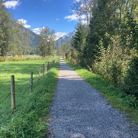 Eistaenzer Nest Oberstdorf