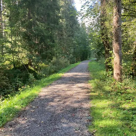 Eistaenzer Nest Oberstdorf